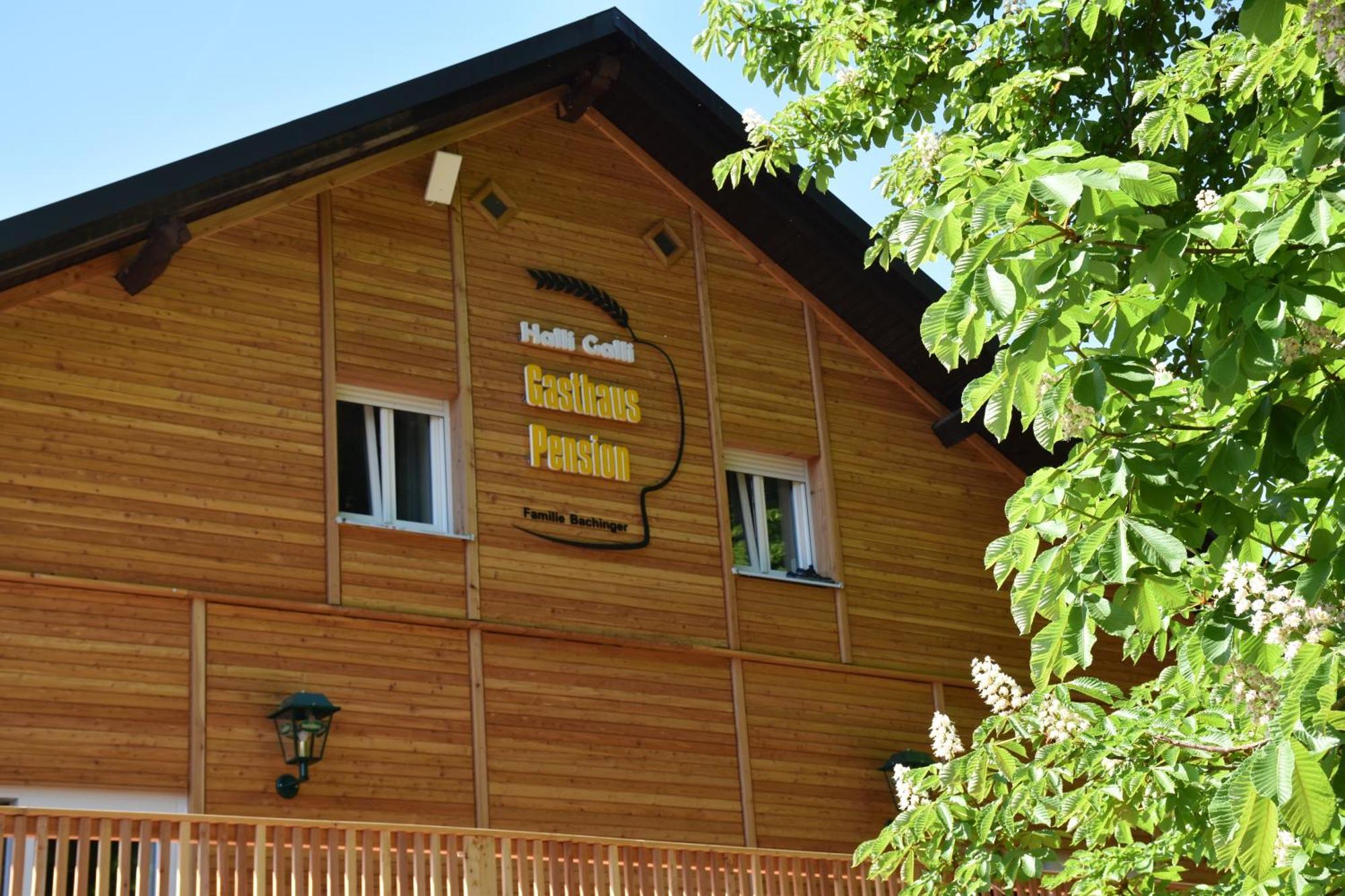 פסאו Gasthaus Und Pension Halli-Galli מראה חיצוני תמונה